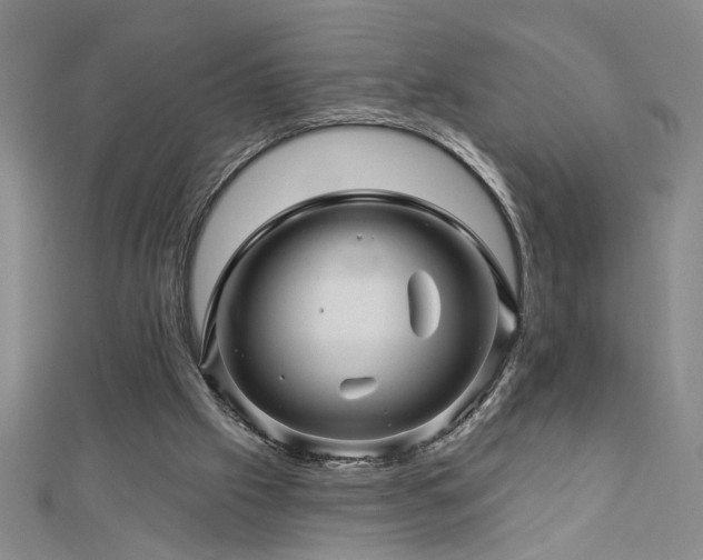 X0000113000057200908271356