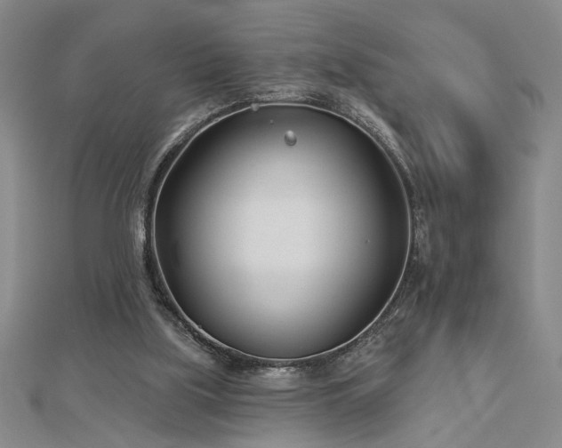 X0000113000059200908271356