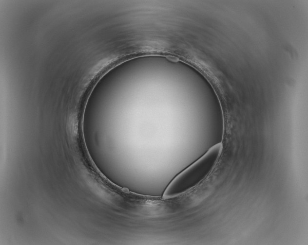 X0000113000060200908271356