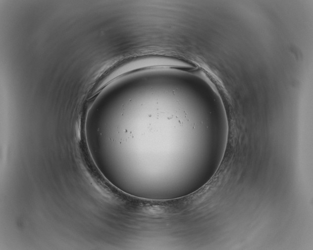 X0000113000062200908271356