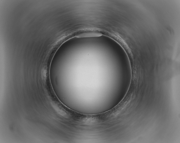 X0000113000063200908271356