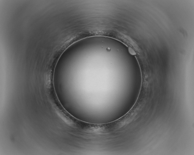 X0000113000065200908271356