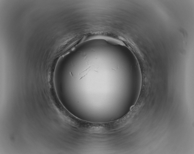 X0000113000066200908271356