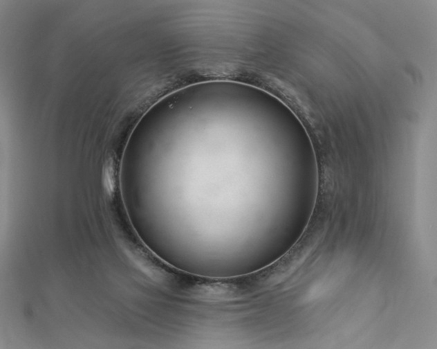 X0000113000069200908271356