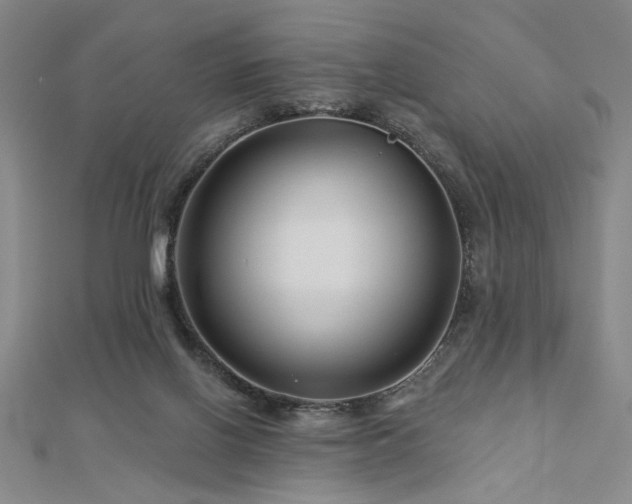 X0000113000070200908271356