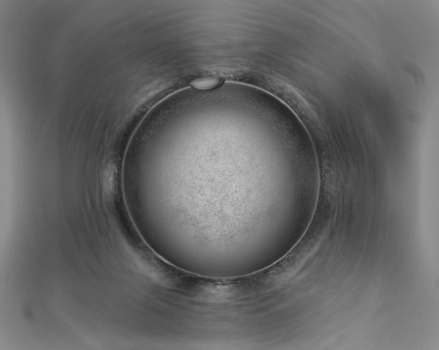 X0000113000071200908271356