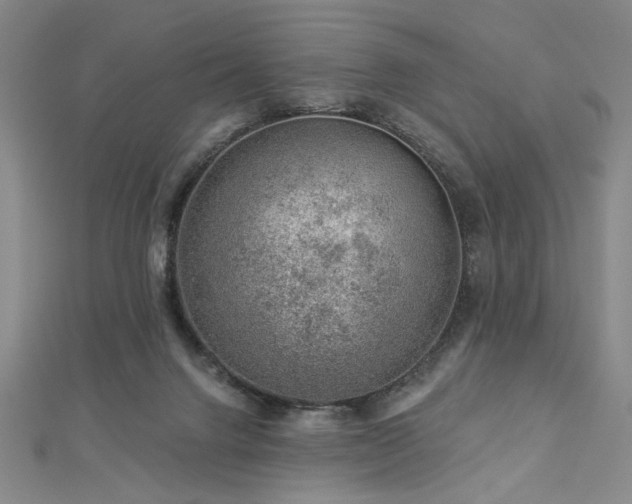 X0000113000072200908271356