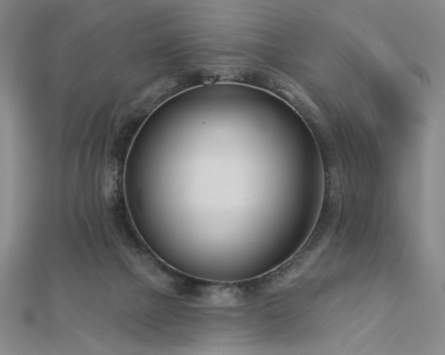 X0000113000073200908271356