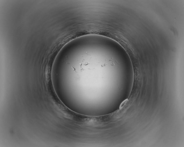 X0000113000074200908271356