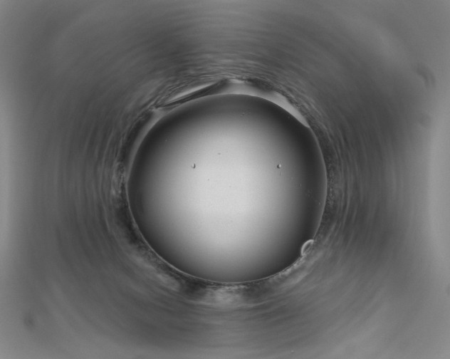 X0000113000078200908271356