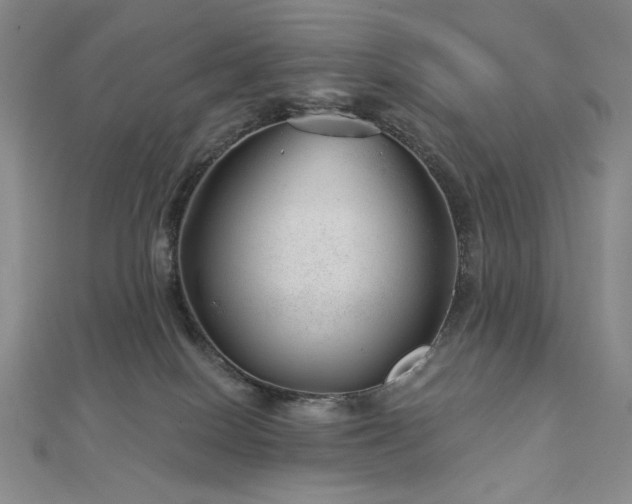 X0000113000086200908271356