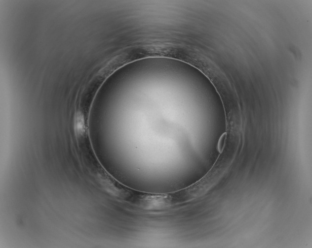 X0000113000089200908271356
