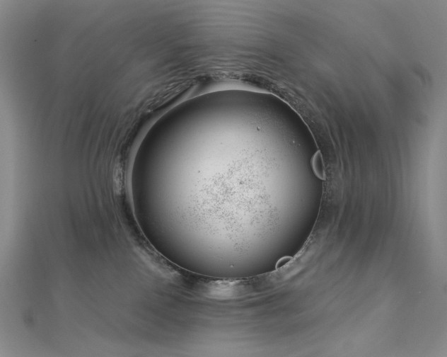 X0000113000090200908271356