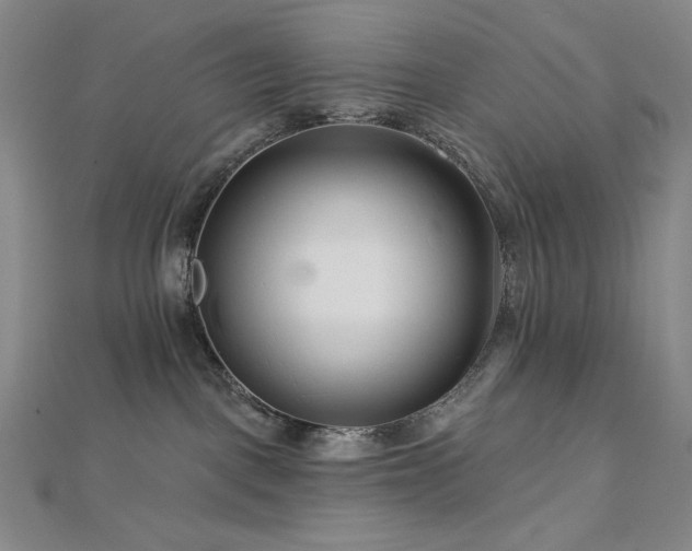 X0000113000093200908271356