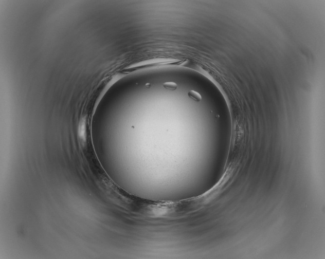 X0000113000094200908271356