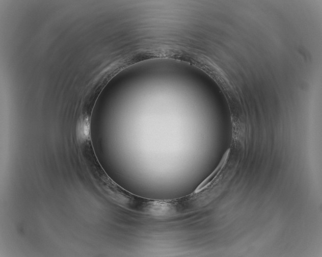 X0000113000095200908271356