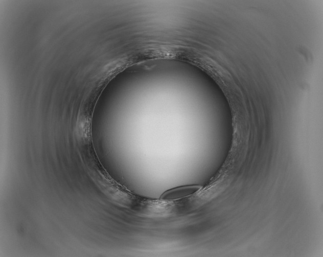 X0000113000096200908271356