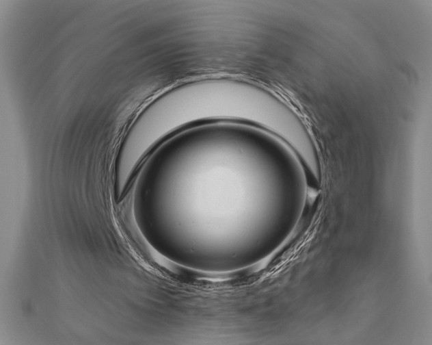 X0000113000097200908271356