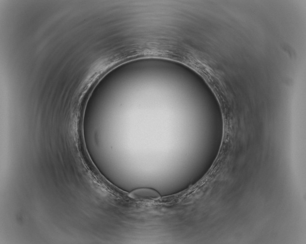 X0000113000098200908271356