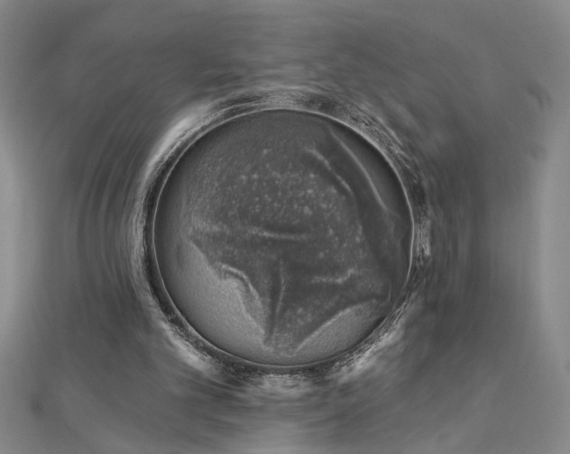X0000113000101200908271356