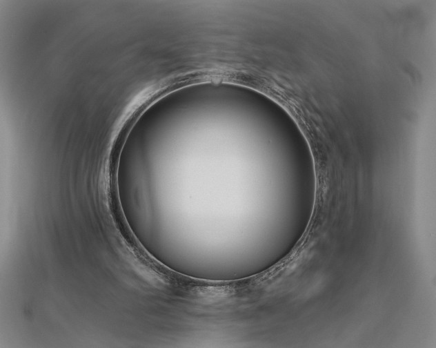 X0000113000102200908271355