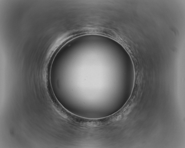 X0000113000103200908271355