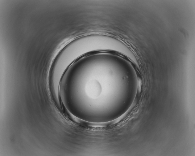 X0000113000104200908271355