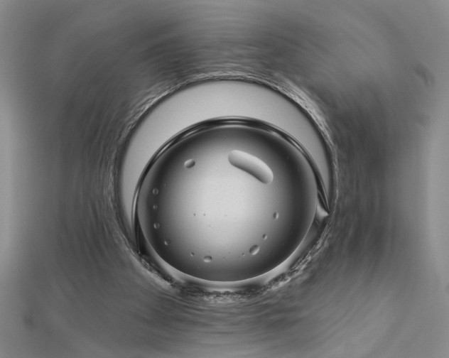 X0000113000105200908271355