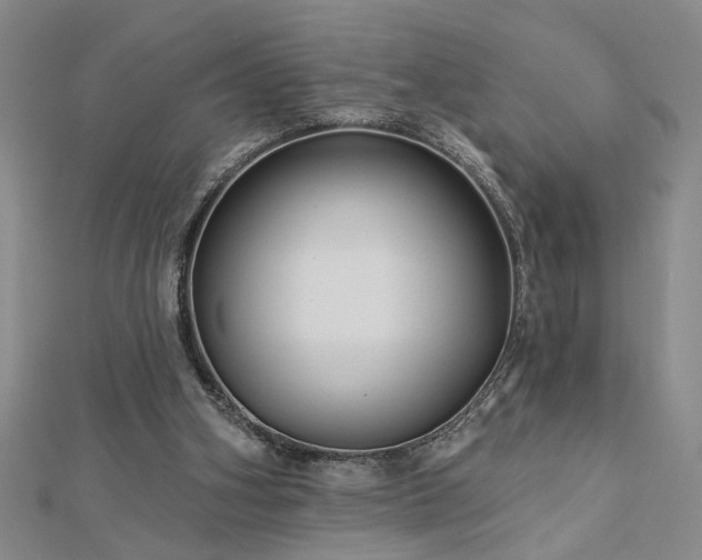 X0000113000106200908271355