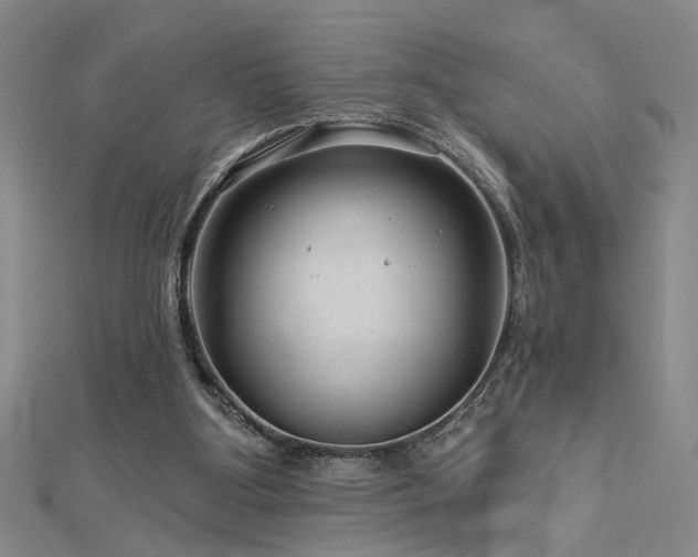 X0000113000107200908271355