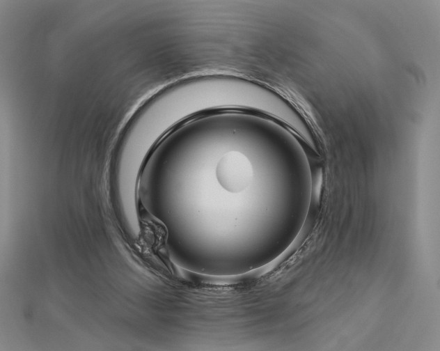 X0000113000108200908271355
