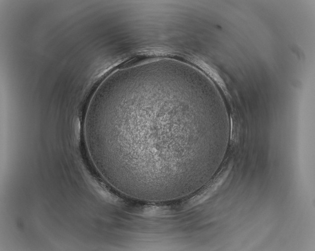 X0000113000109200908271355