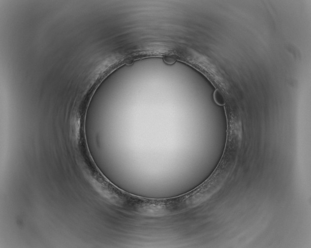 X0000113000110200908271355