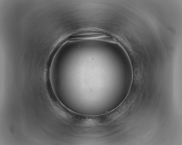 X0000113000111200908271355