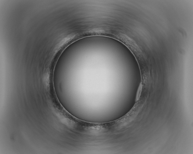 X0000113000112200908271355