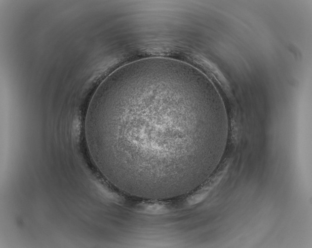 X0000113000113200908271355