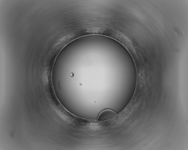 X0000113000114200908271355