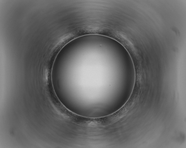 X0000113000115200908271355