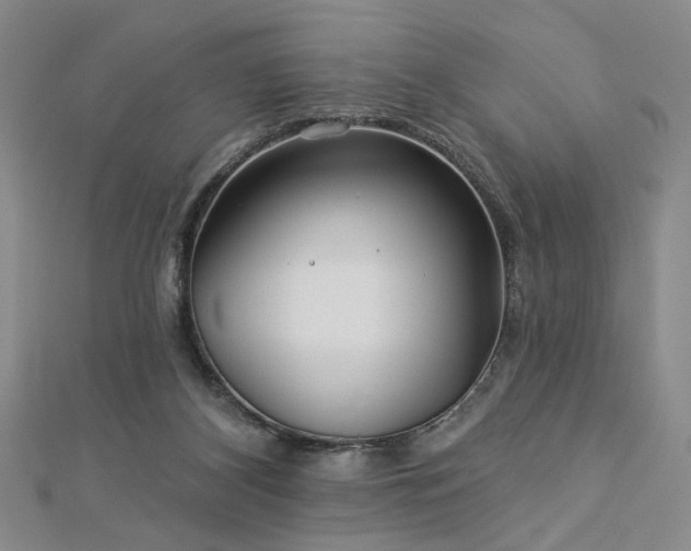 X0000113000116200908271355