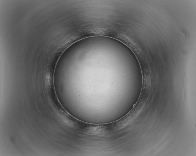 X0000113000117200908271355
