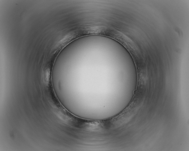X0000113000118200908271355