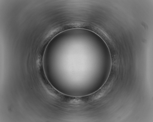 X0000113000119200908271355