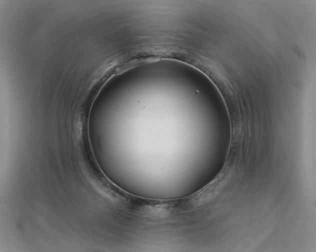 X0000113000120200908271355