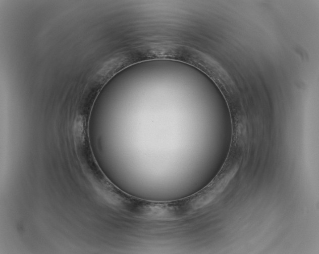 X0000113000121200908271355