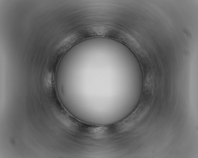X0000113000122200908271355