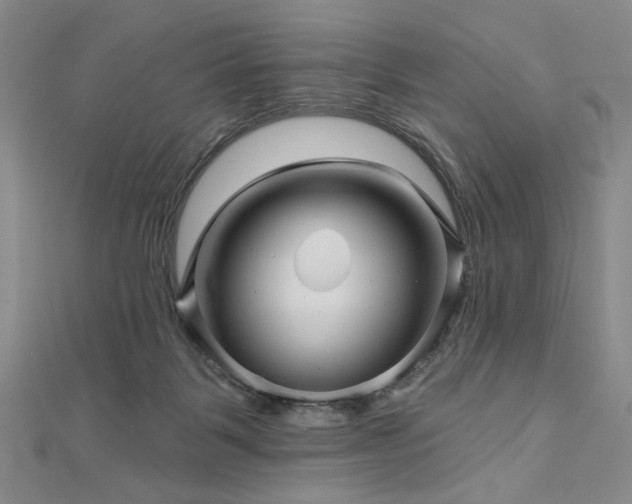 X0000113000123200908271355