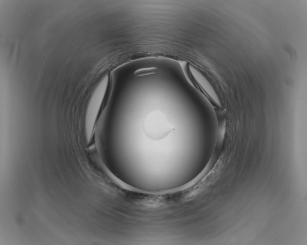 X0000113000124200908271355