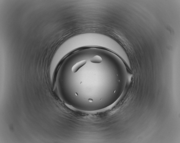X0000113000125200908271355