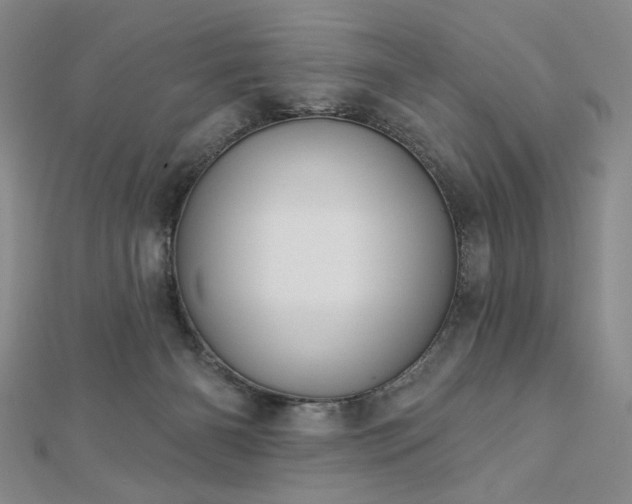 X0000113000126200908271355