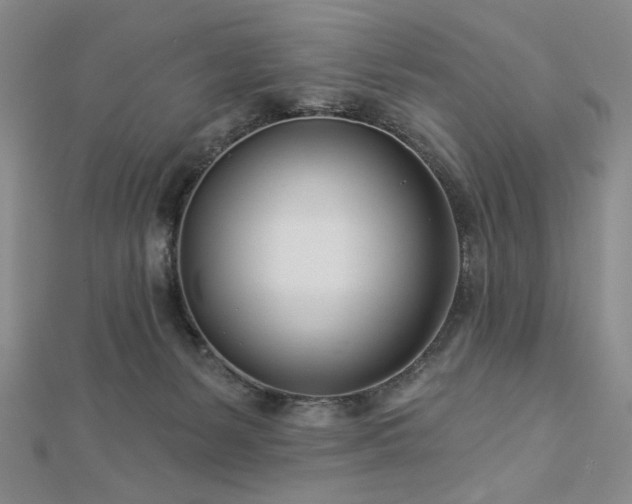 X0000113000127200908271355